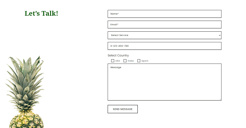 divi contact form