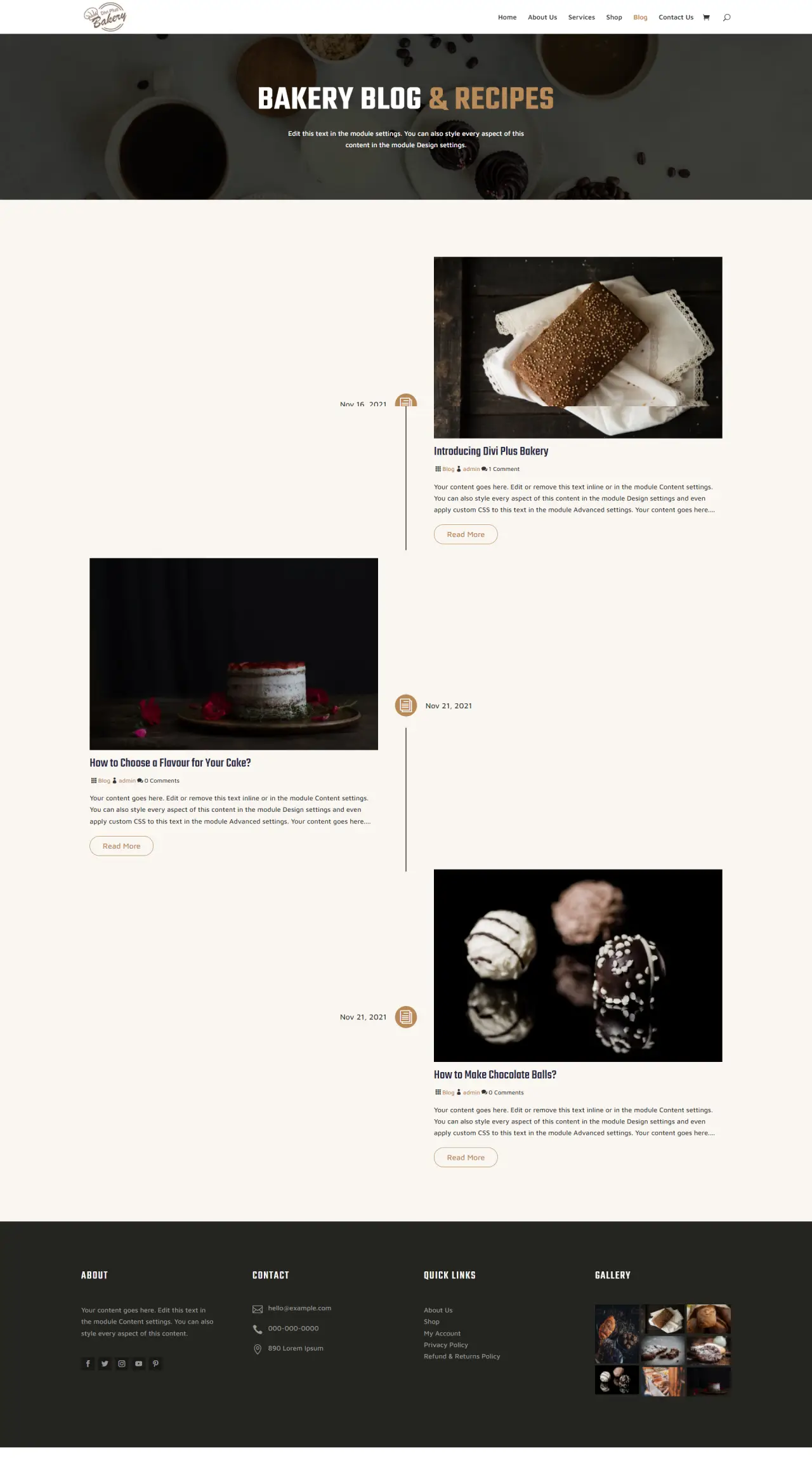 Divi Plus Bakery Blog