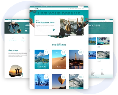 Divi Plus child themes