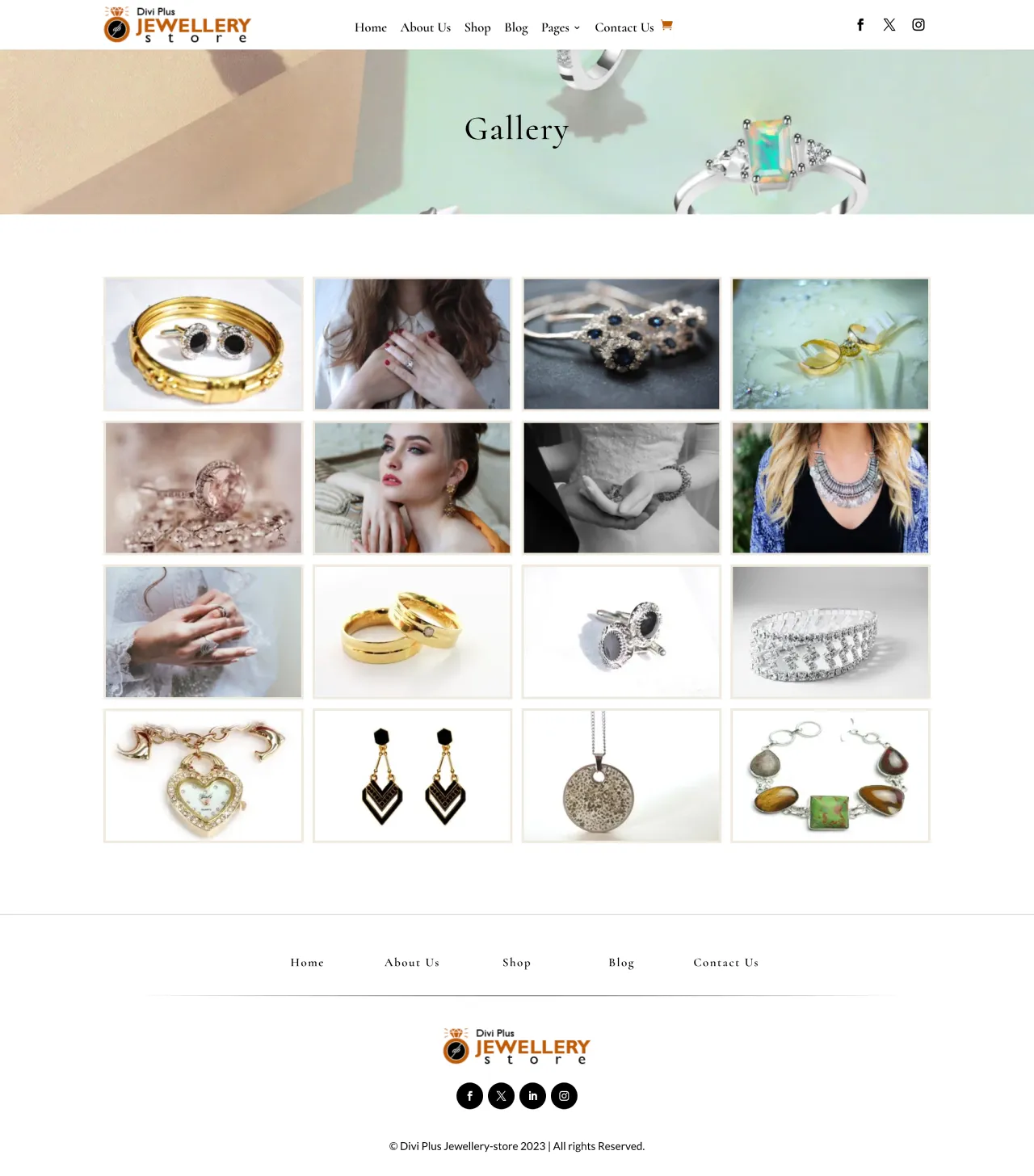 Divi Plus Jewellery Store Gallery